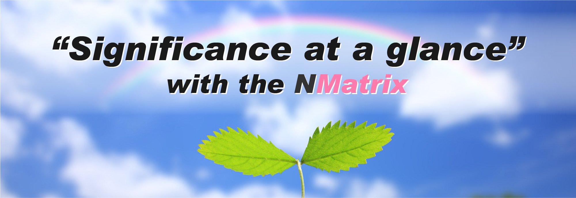 NMatrix｜新しい統計表示法